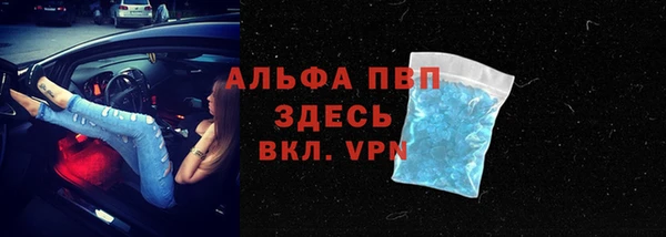 ГАЛЛЮЦИНОГЕННЫЕ ГРИБЫ Покачи