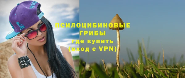 apvp Покров