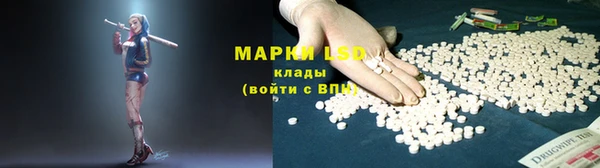 ГАЛЛЮЦИНОГЕННЫЕ ГРИБЫ Покачи