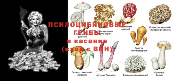 ГАЛЛЮЦИНОГЕННЫЕ ГРИБЫ Покачи