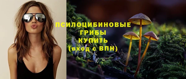 ГАЛЛЮЦИНОГЕННЫЕ ГРИБЫ Покачи
