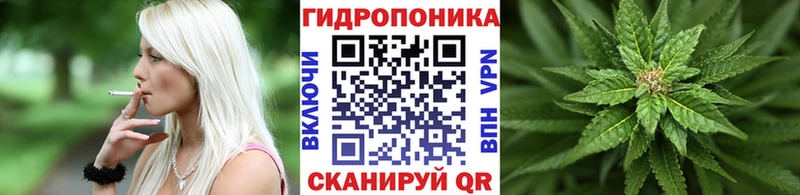 Бошки марихуана Bruce Banner  Сенгилей 
